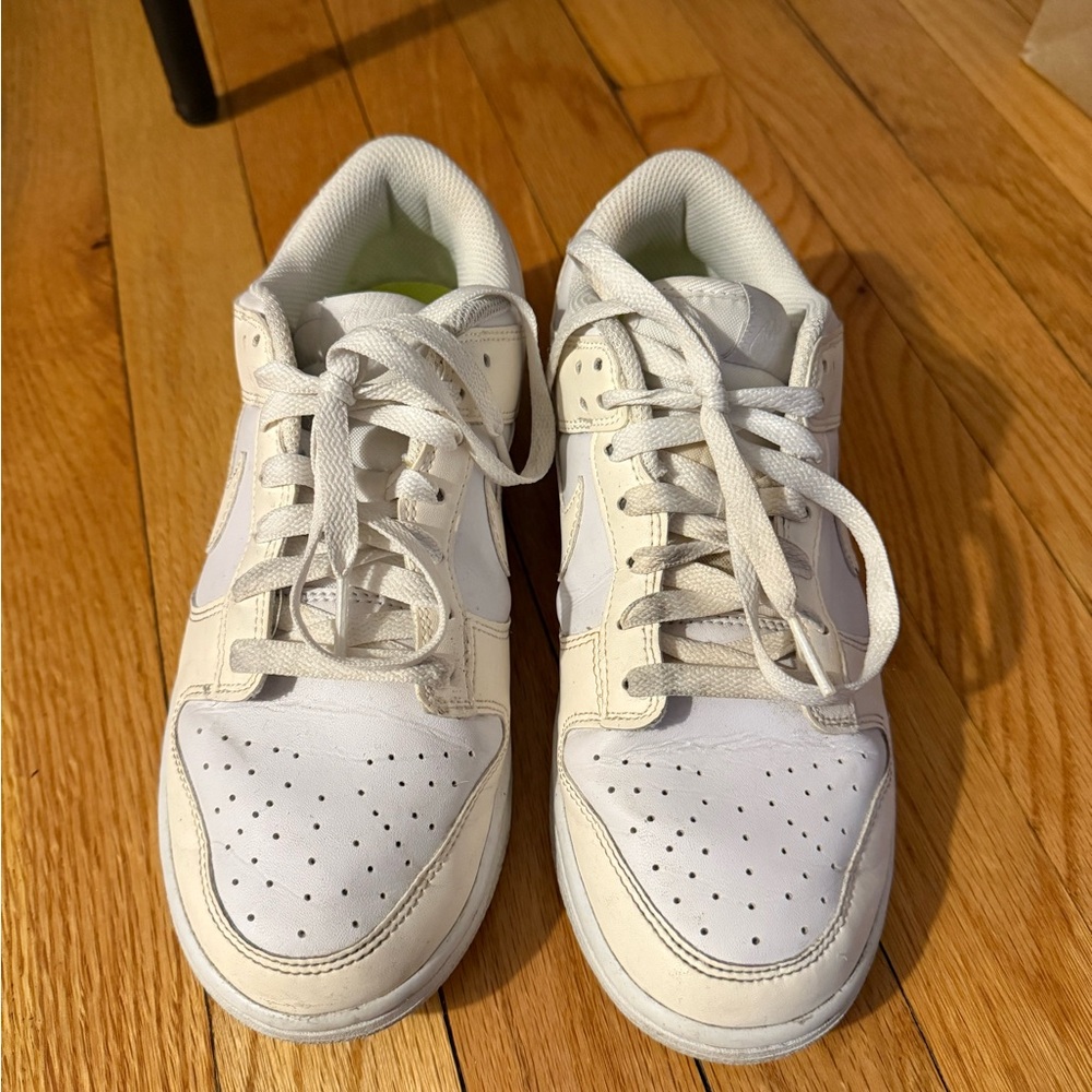 Nike Dunk Low Next Nature 'Move To Zero’ Women’s